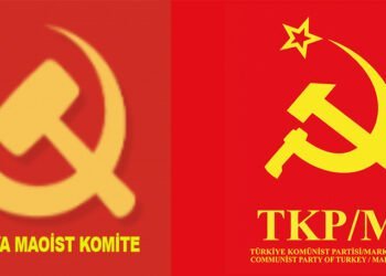 FİNLANDİYA MAOİST KOMİTE